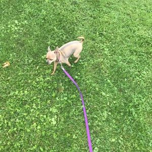 Meet your Posher, Felipe